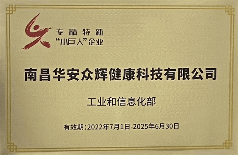 國家級專精特新“小巨人”企業(yè)