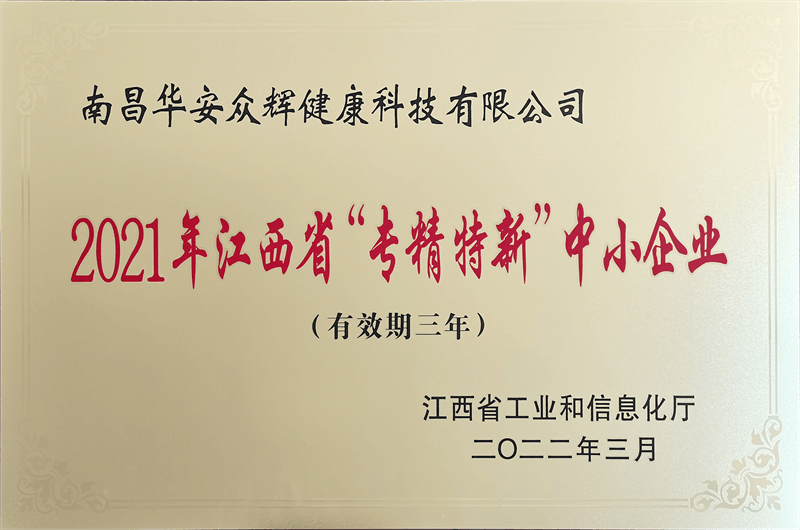 2021年專精特新中小企業(yè)